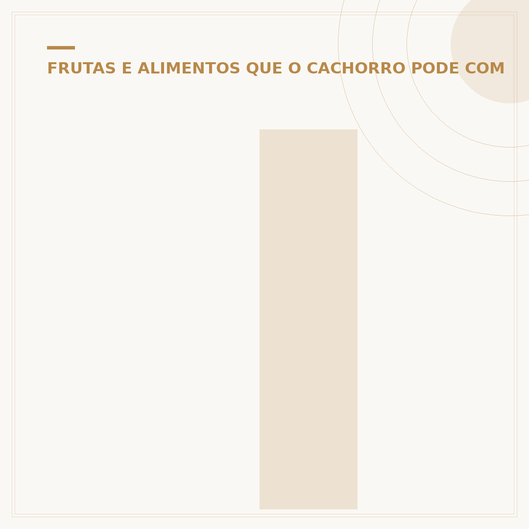 Intoxicação por chocolate em cães: riscos e cuidados