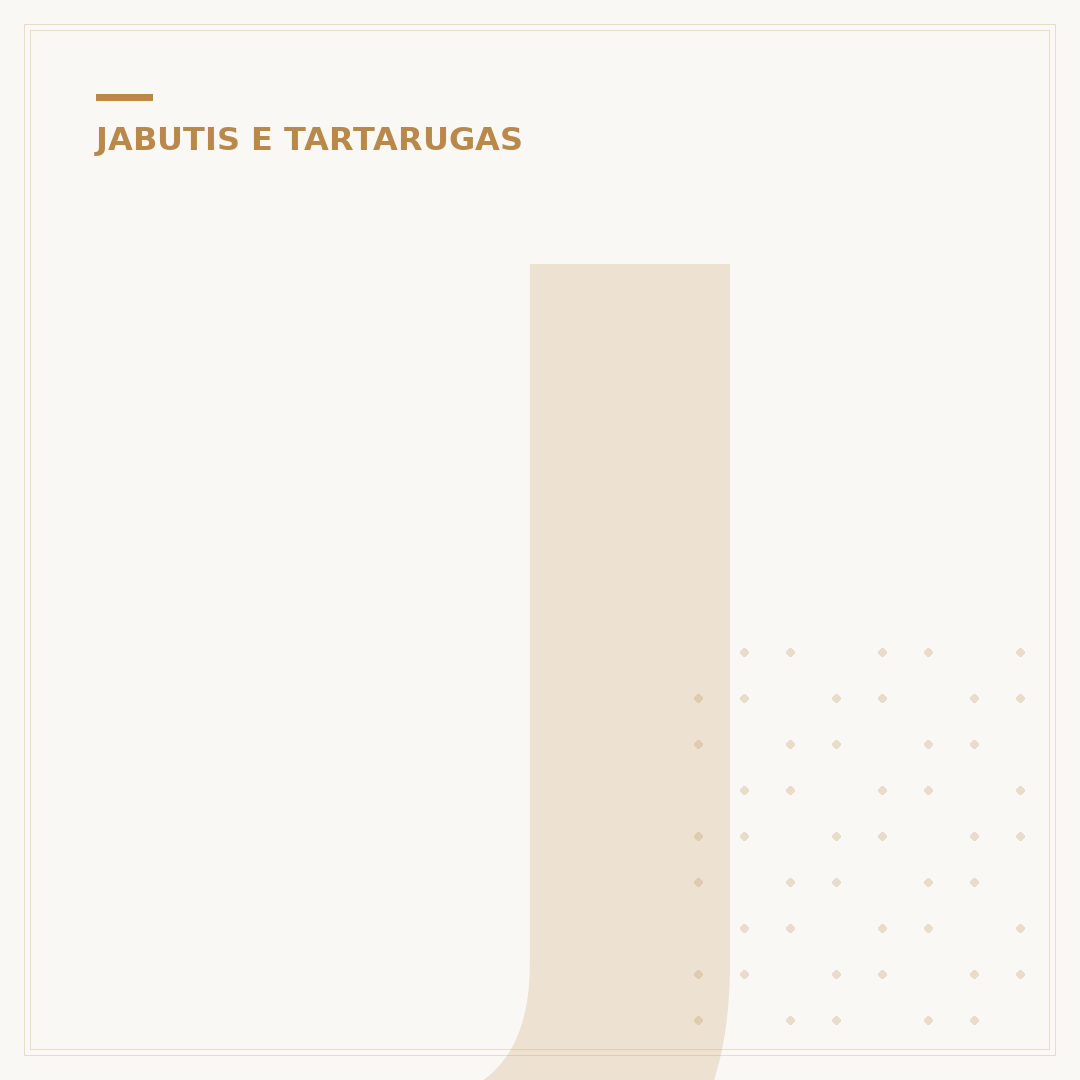 Jabuti pode ficar na água?