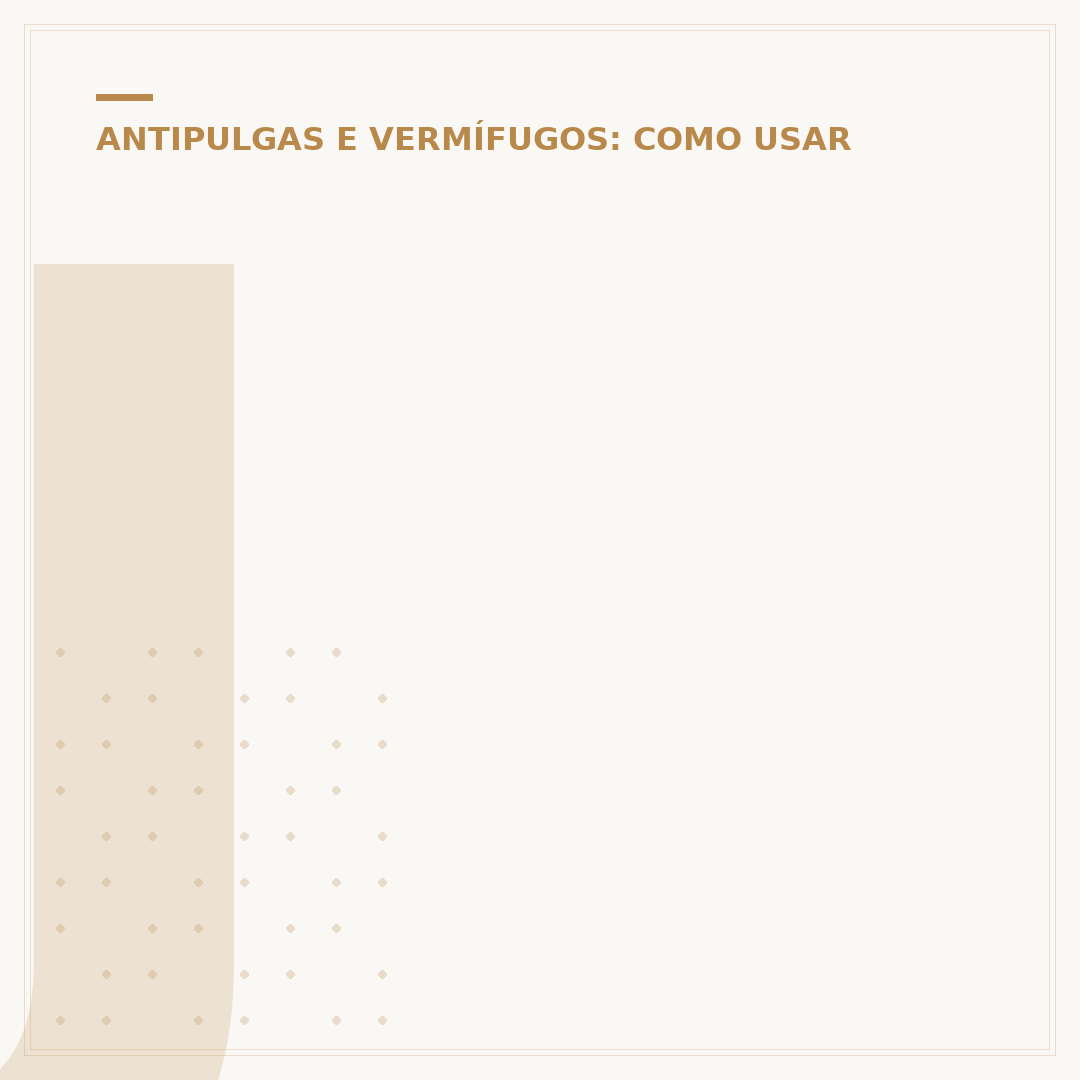 Jimo antipulgas
