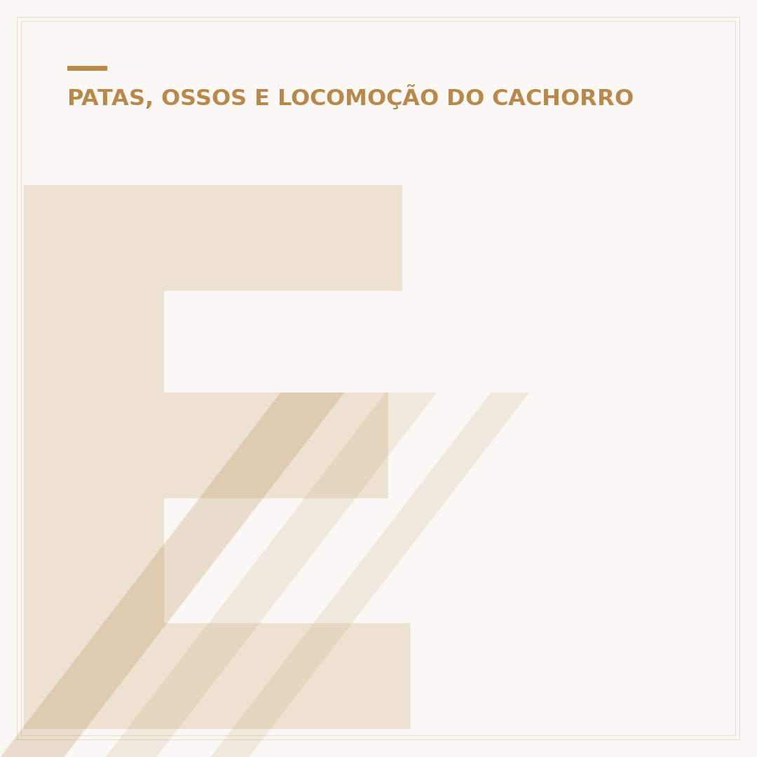 Entendendo o Joelho do Cachorro: Causas e Cuidados