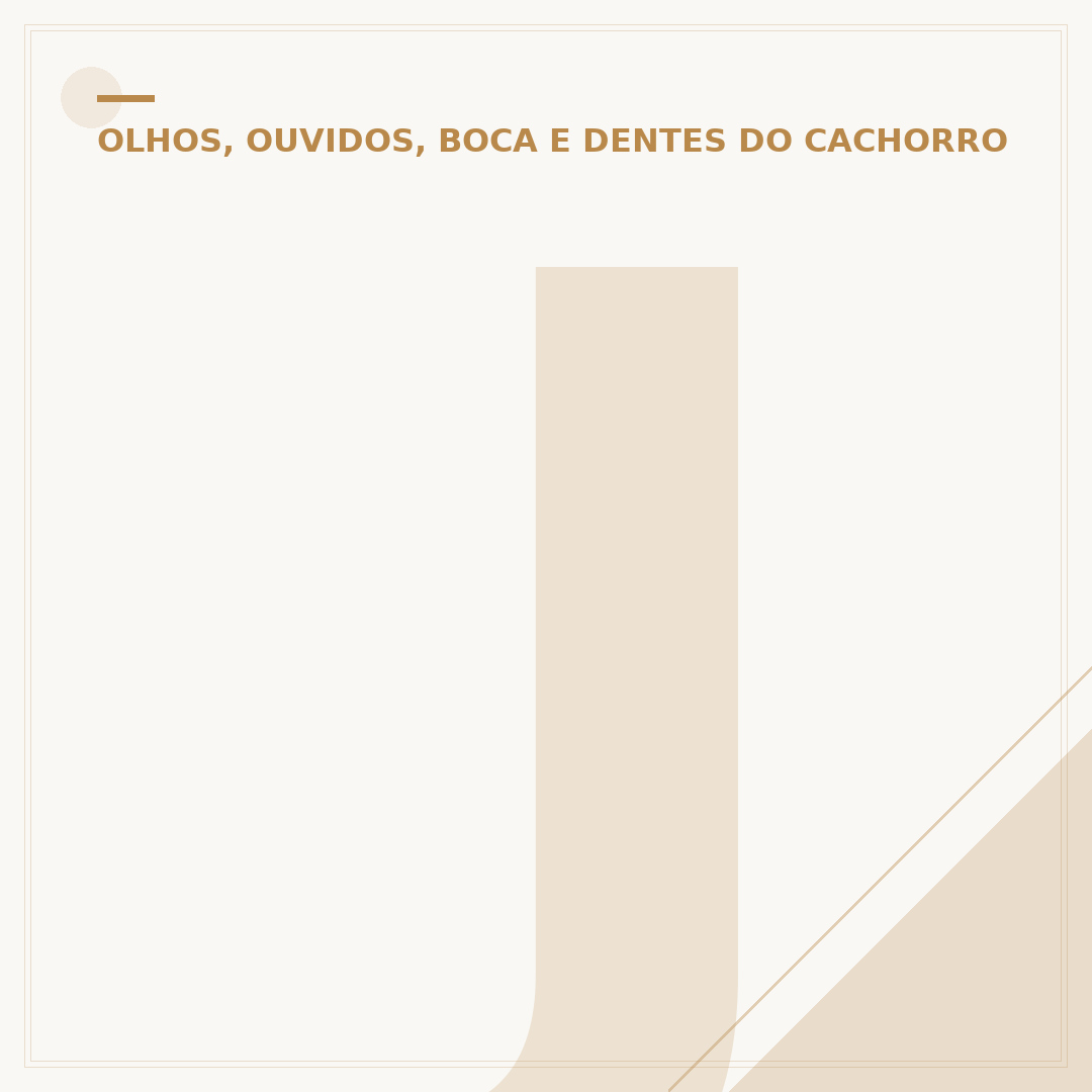 Jovens que mataram o cachorro Orelha: o que saber