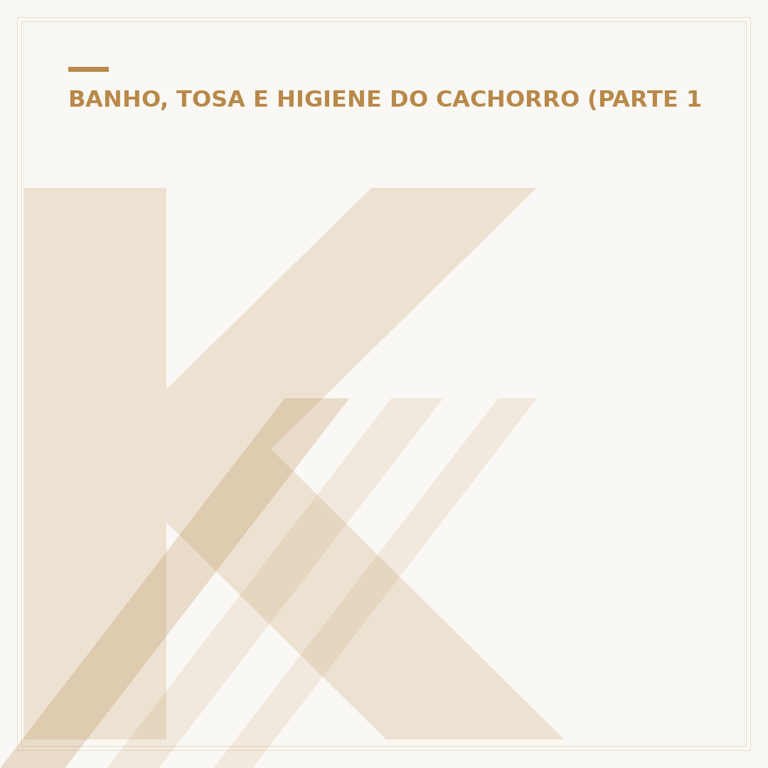Kit completo para banho e tosa