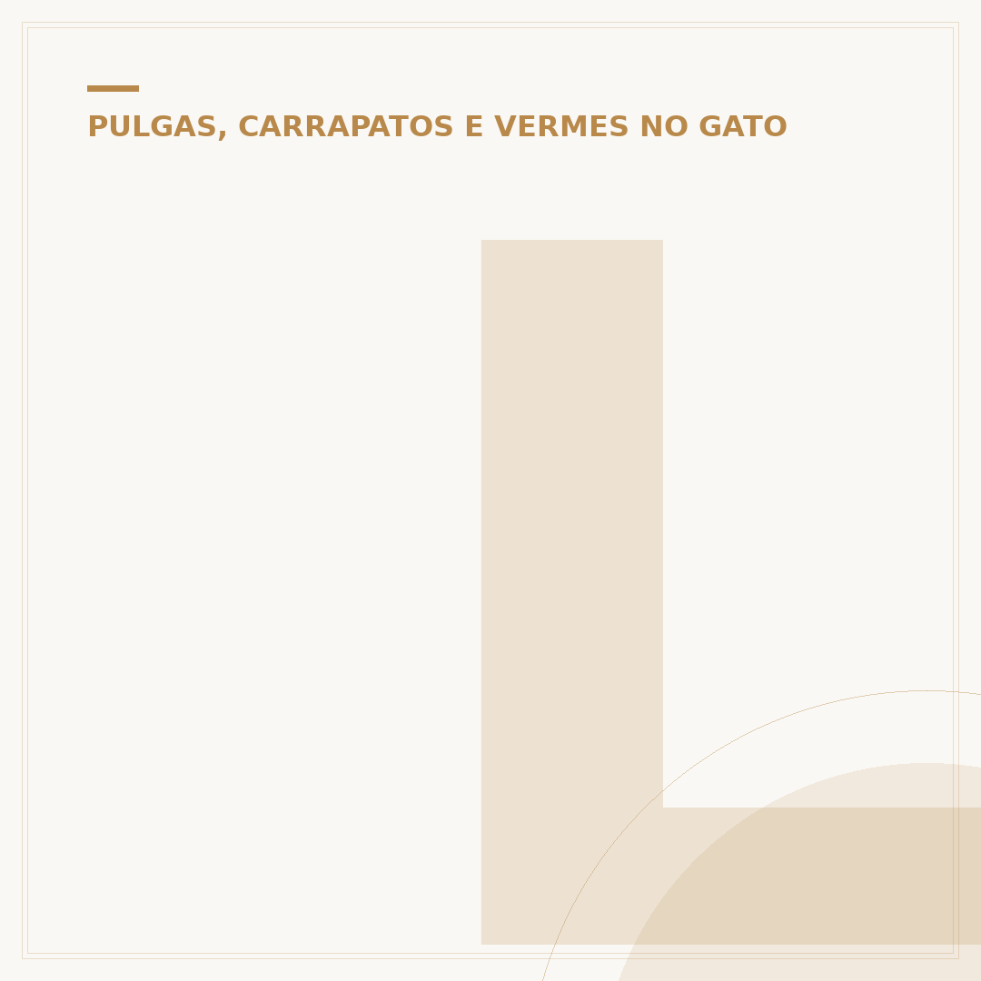 Larvas de pulga de gato