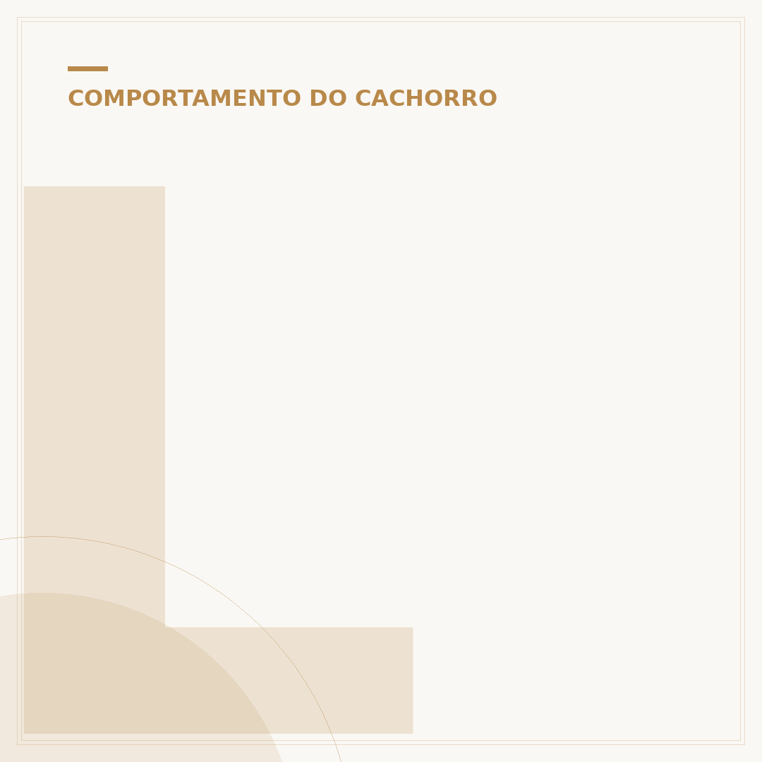 Latido de cachorro pequeno: por que ele late tanto?