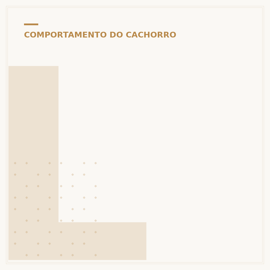 Latindo pra economizar o cachorro