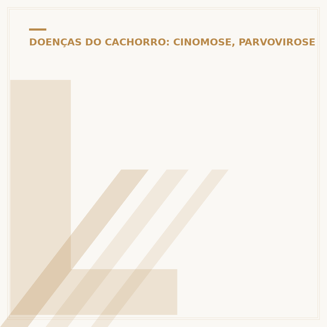 Leishmaniose em orelha de cachorro: sintomas e cuidados