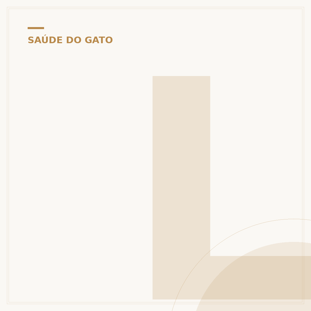 Leite para gato recém nascido caseiro: alternativas seguras