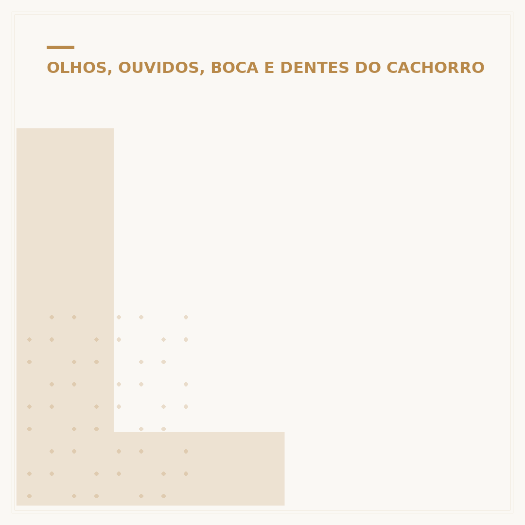 Limpador de dente de cachorro