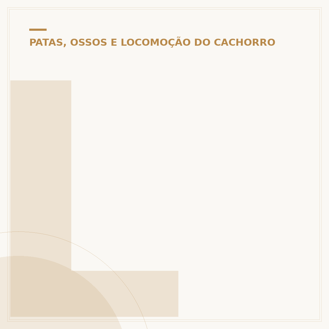 Limpador de pata de cachorro