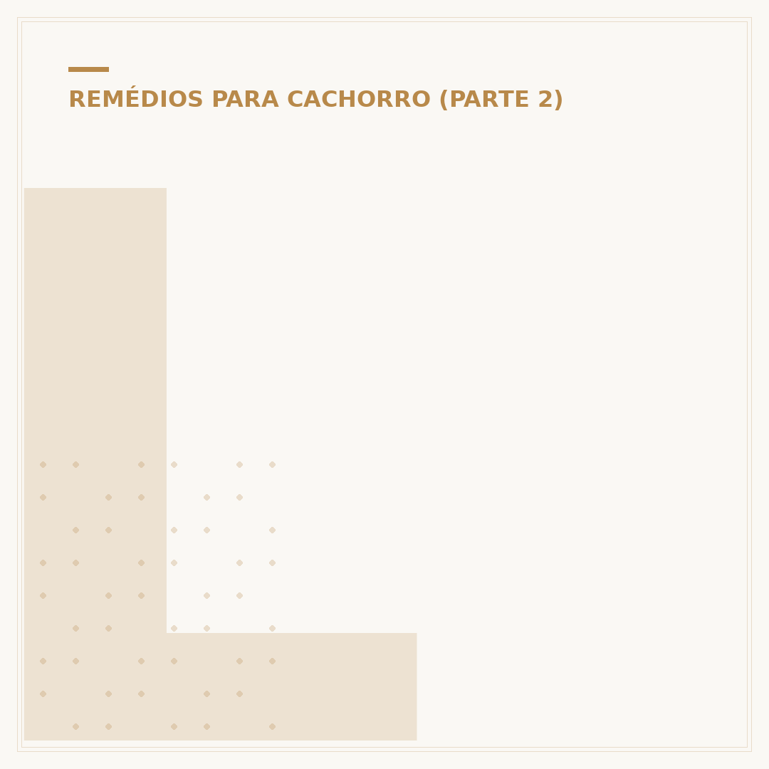 Limpar ouvido de cachorro: remédios caseiros seguros