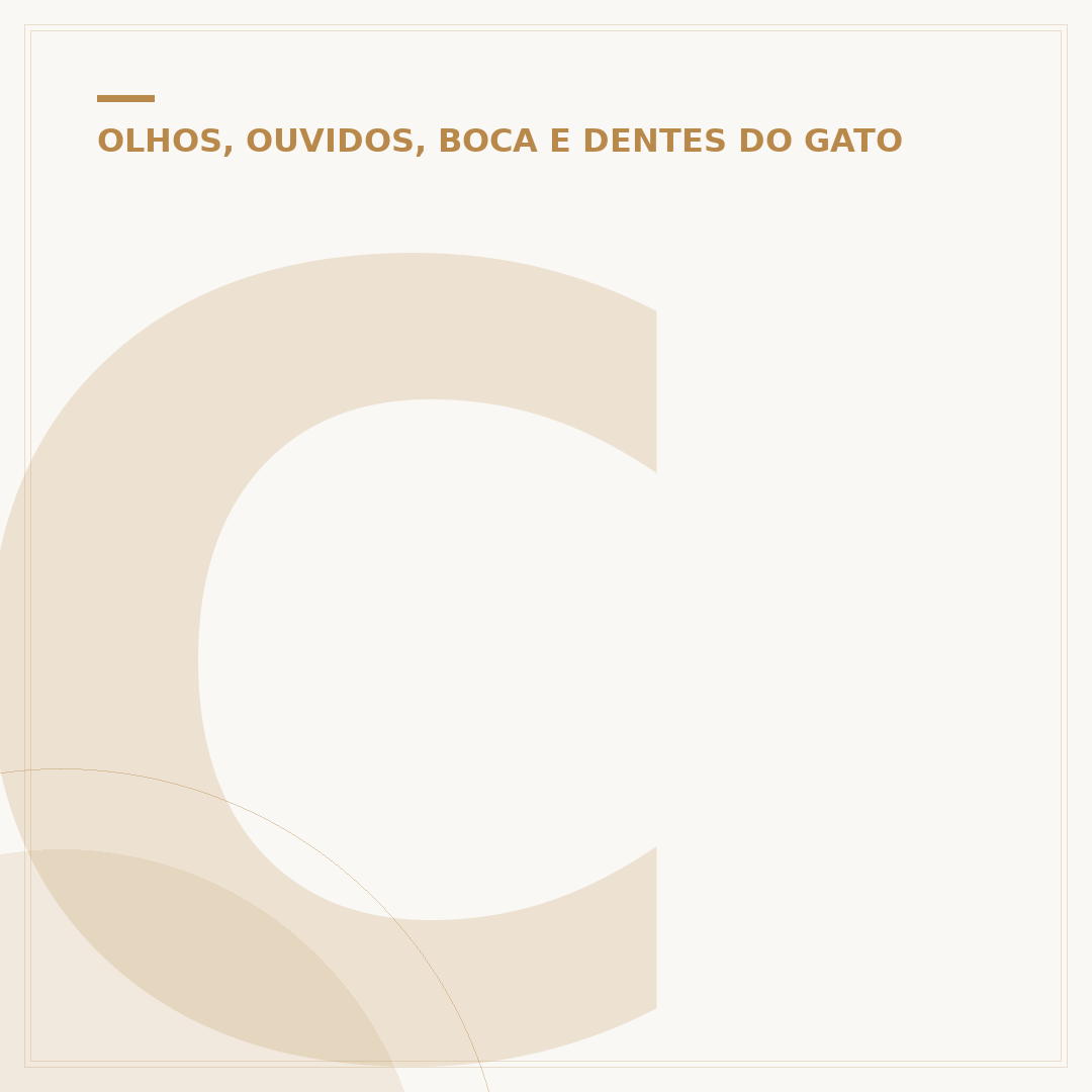 Como limpar o ouvido de gato com otite