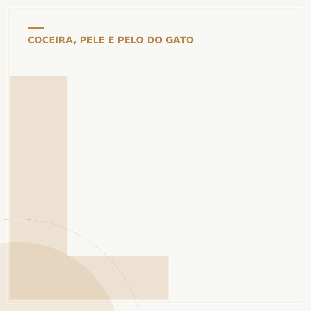 Luto pelo meu pet gato: entendendo e superando a dor