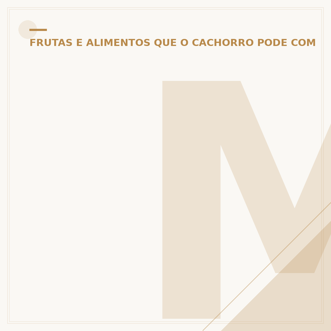 Madeira de café para cachorro: o que é e se é seguro