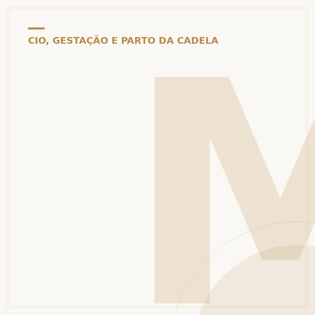 Mama cadela paiero