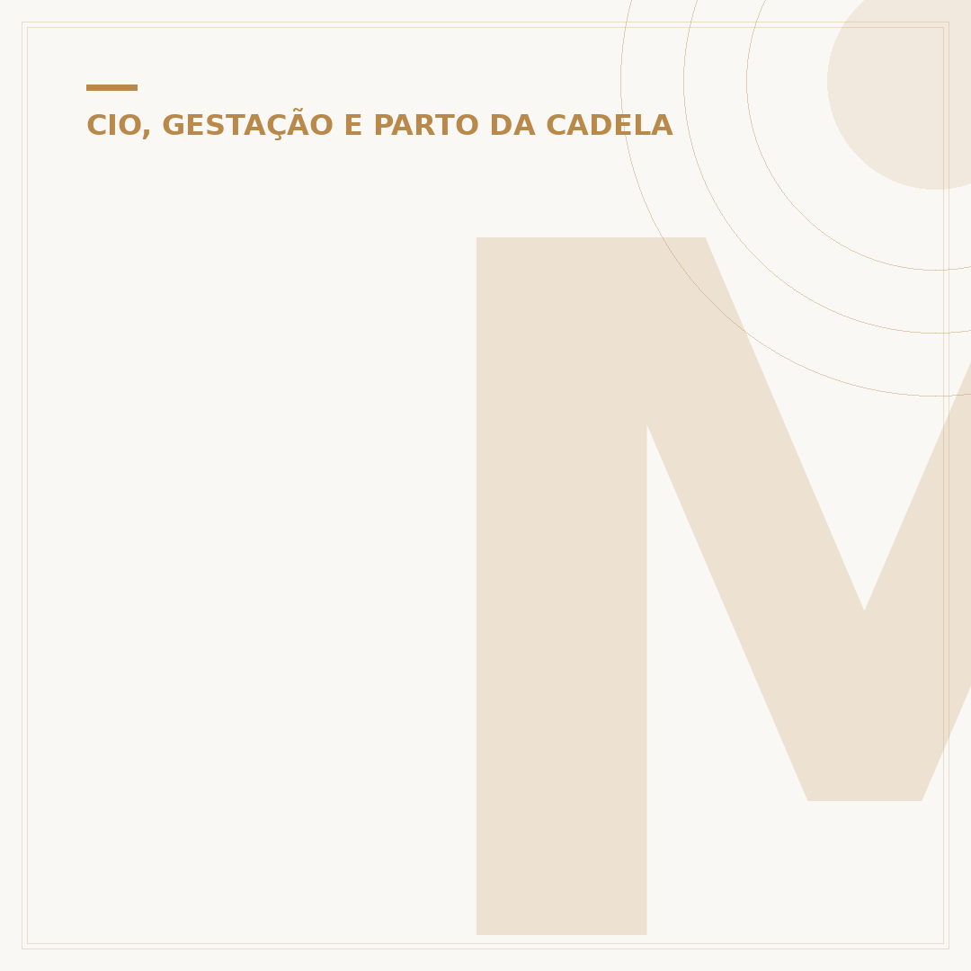 Mama cadela palheiro: causas, manejo e prevenção
