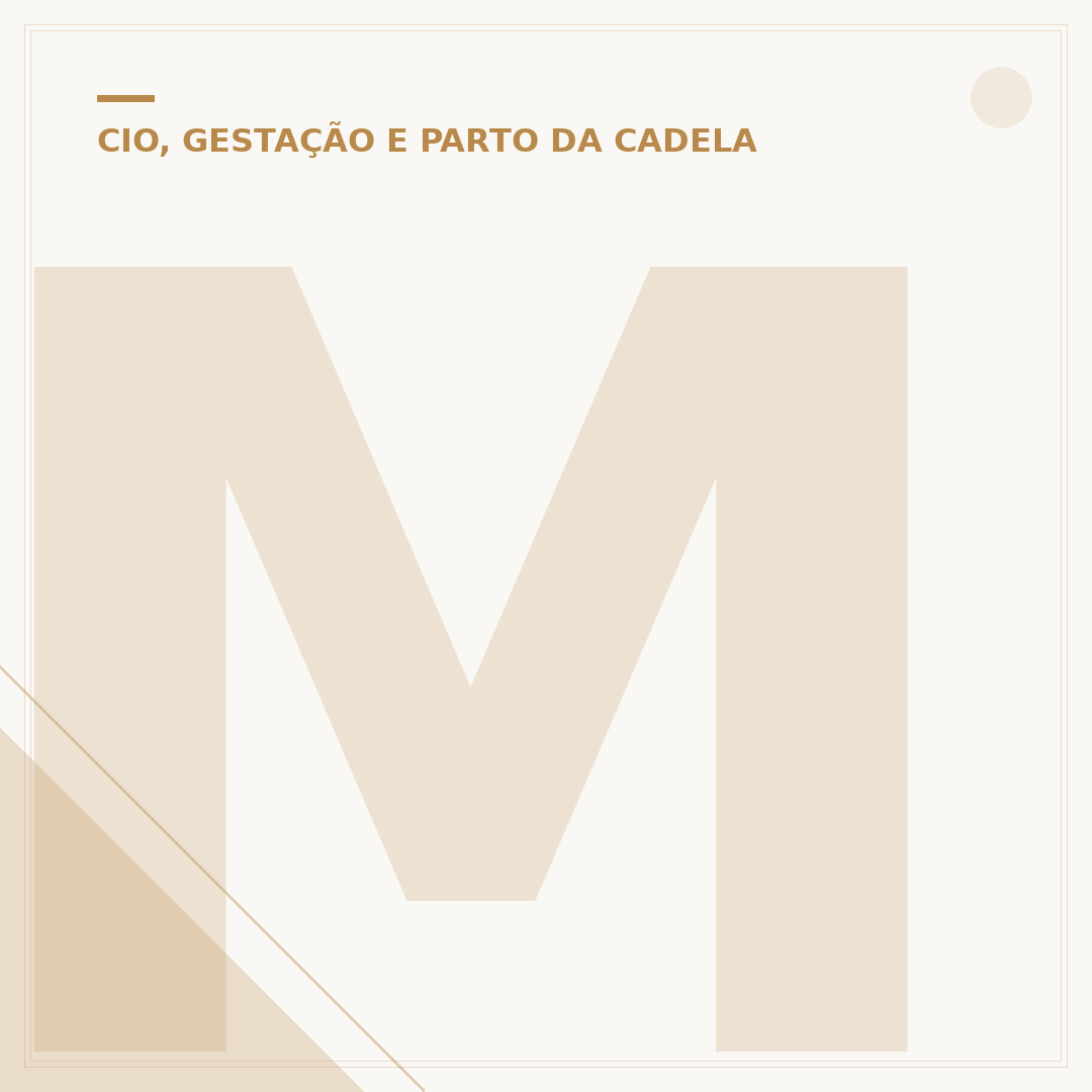 Mama cadela: para que serve e cuidados com a saúde mamária