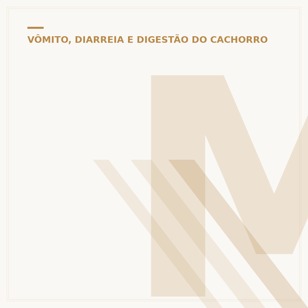 Mancha escura na barriga do cachorro