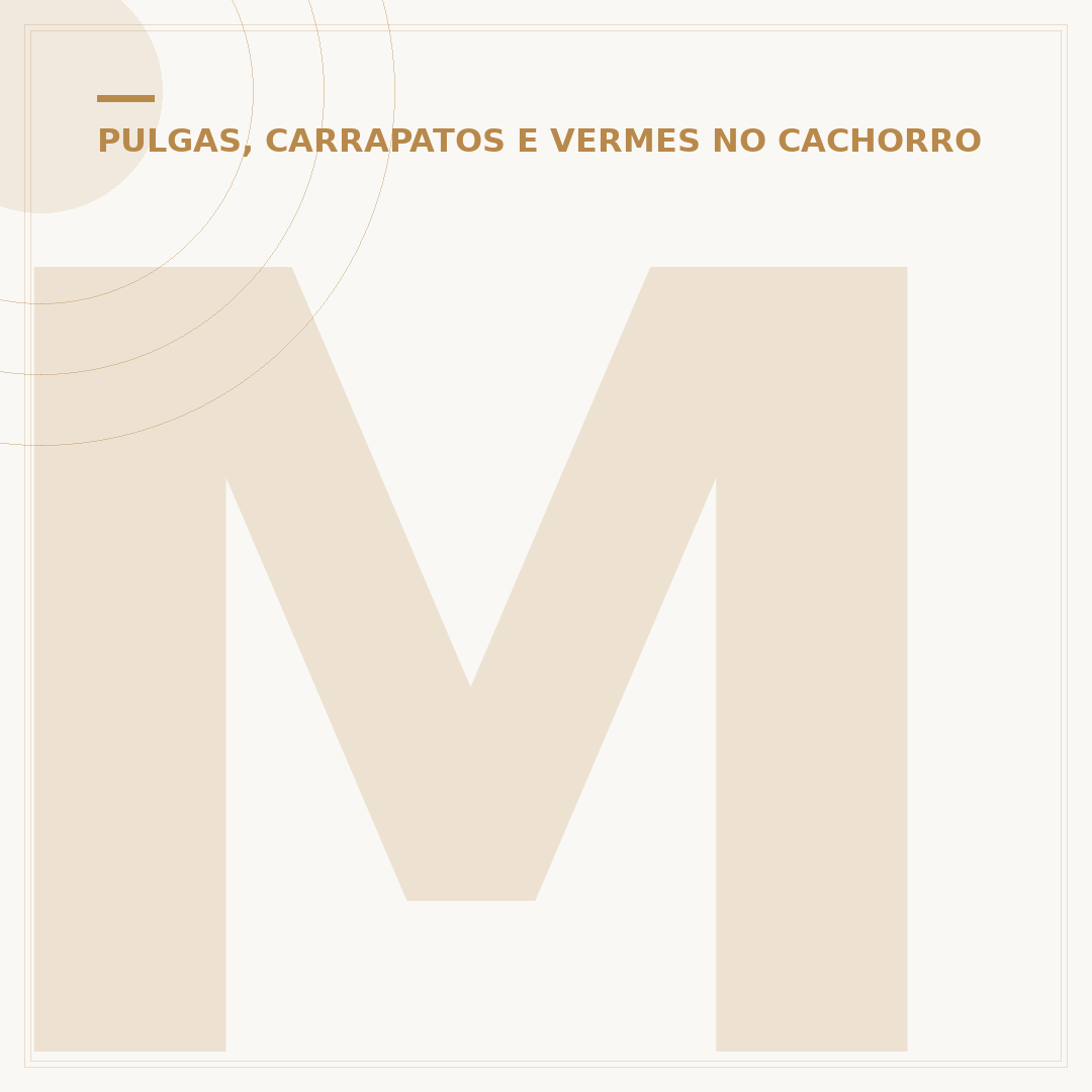 Manchas da doença do carrapato em cães e humanos