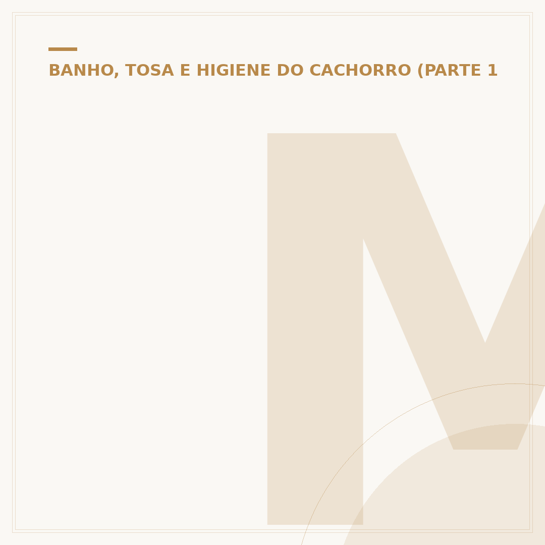Máquina profissional para tosar cachorro