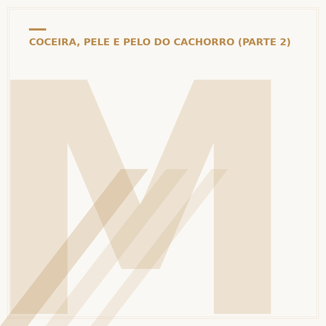 Maquininha de cortar pelo de cachorro: cuide da higiene