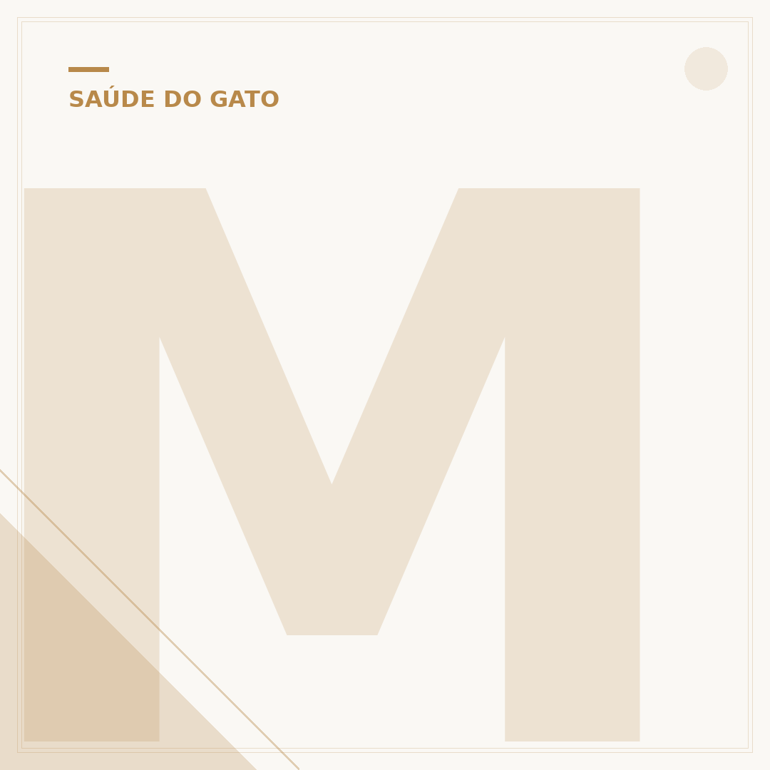 Mastite em gatos: sintomas, causas e tratamento