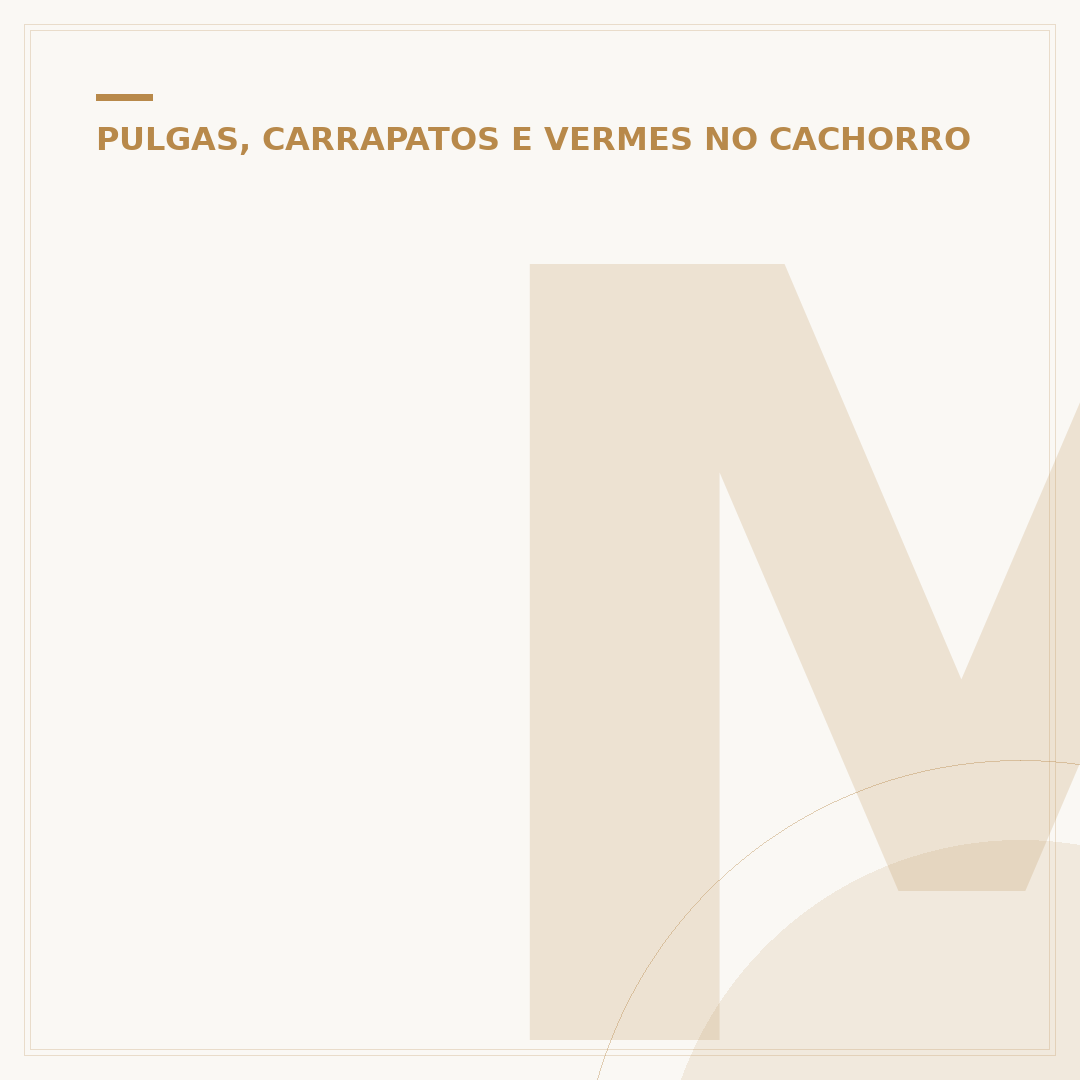 Mata carrapato de cachorro