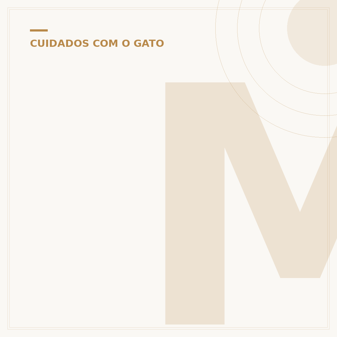 Média de vida de um gato: quanto tempo eles vivem?