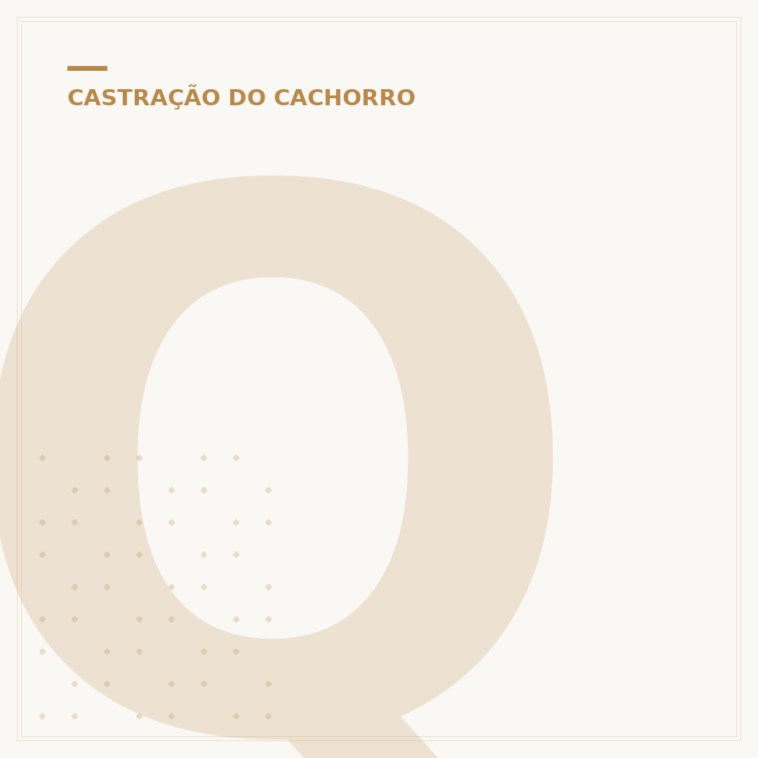 Qual a melhor ração para cachorro castrado?