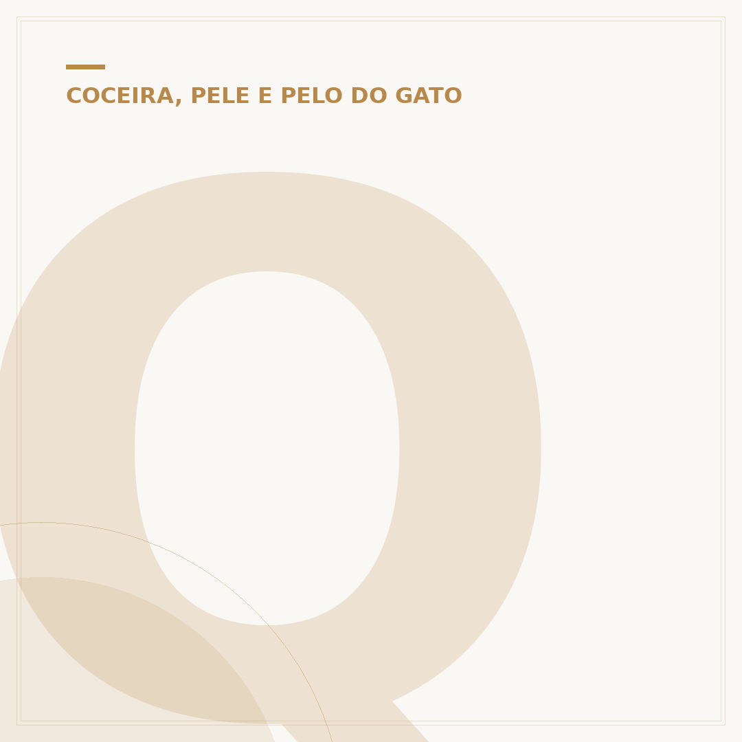 Qual a melhor ração para gatos com queda de pelos?