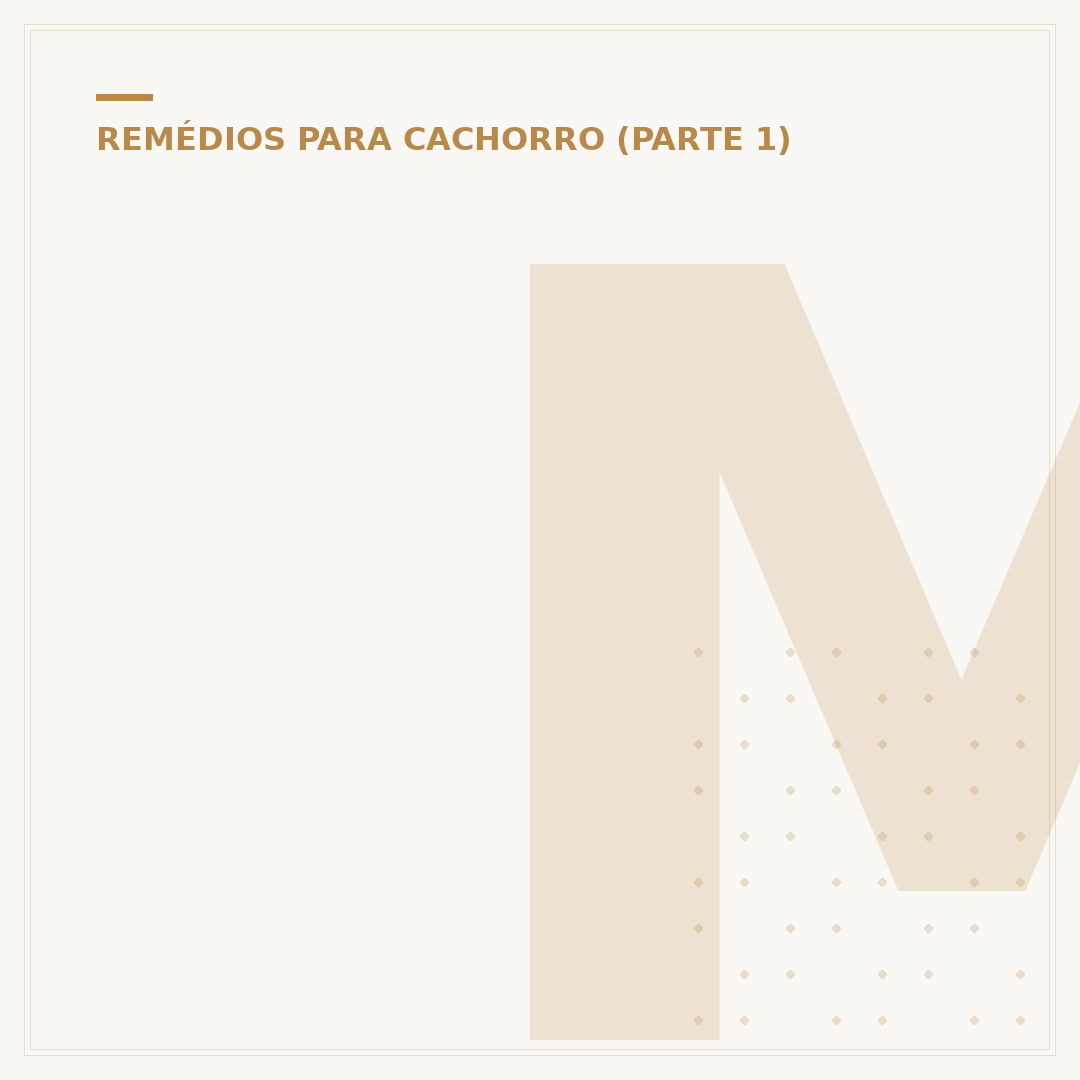 Melhor remédio para carrapato em cachorro: opções
