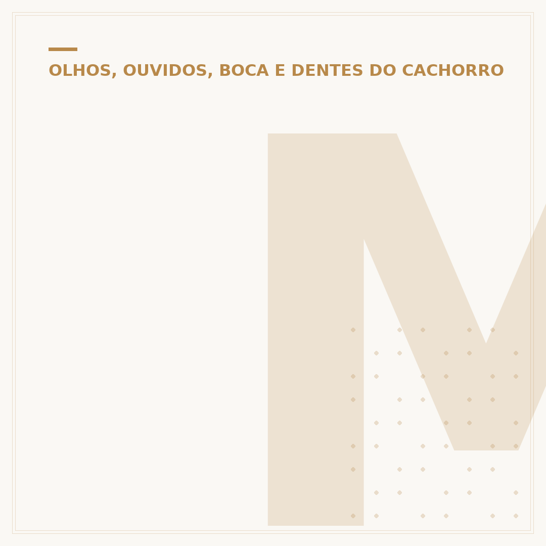 Meninos que mataram o cachorro Orelha: o que aconteceu