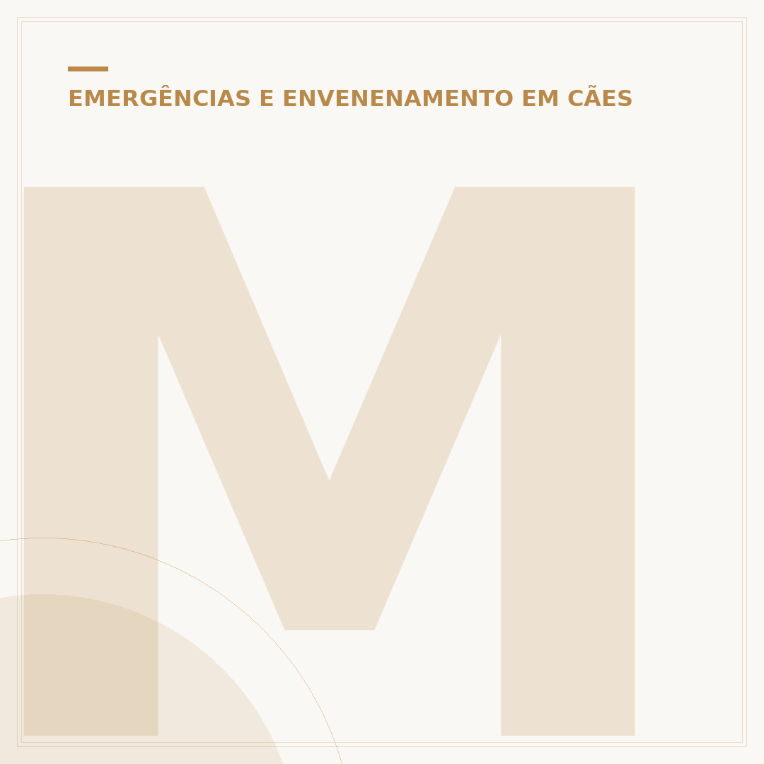Mensagem para cachorro que morreu: honrando a memória