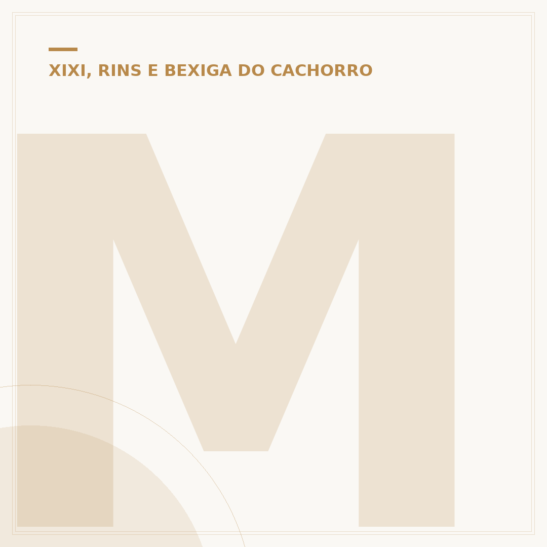 Mistura para cachorro não fazer xixi
