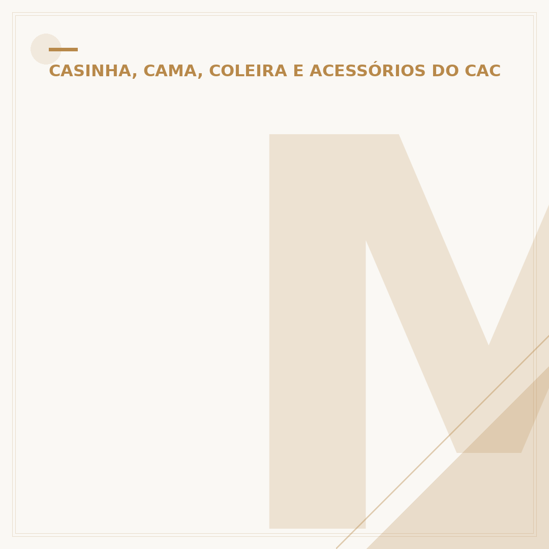 Molde de roupa de cachorro: crie peças exclusivas