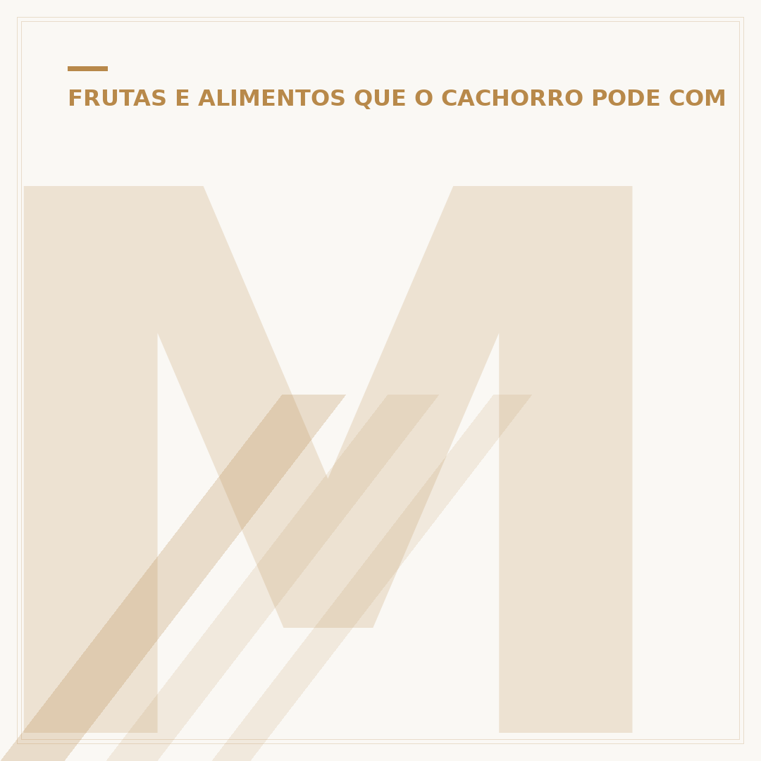 Molho de carne para cachorro