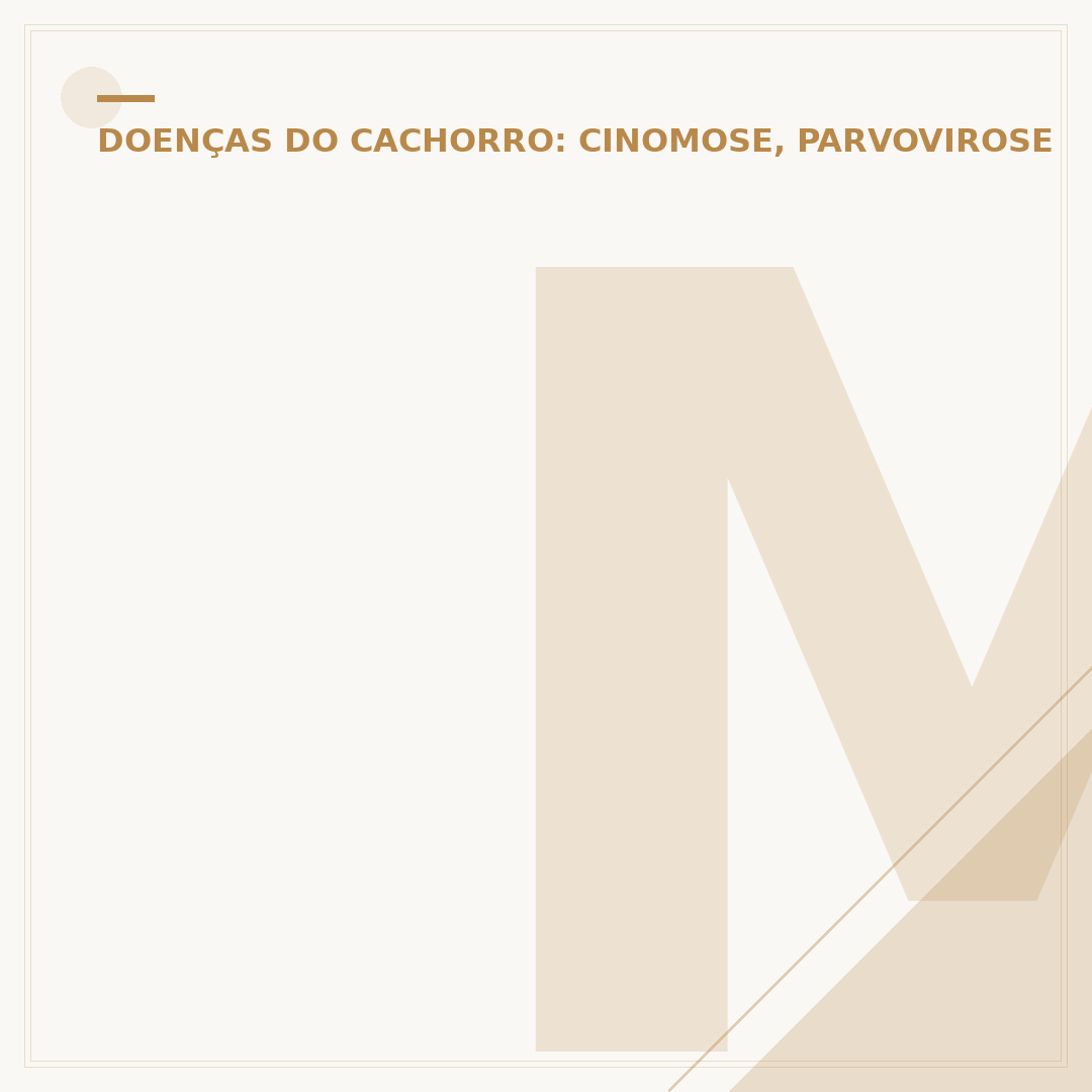 Mordida de cachorro com raiva: o que saber e fazer