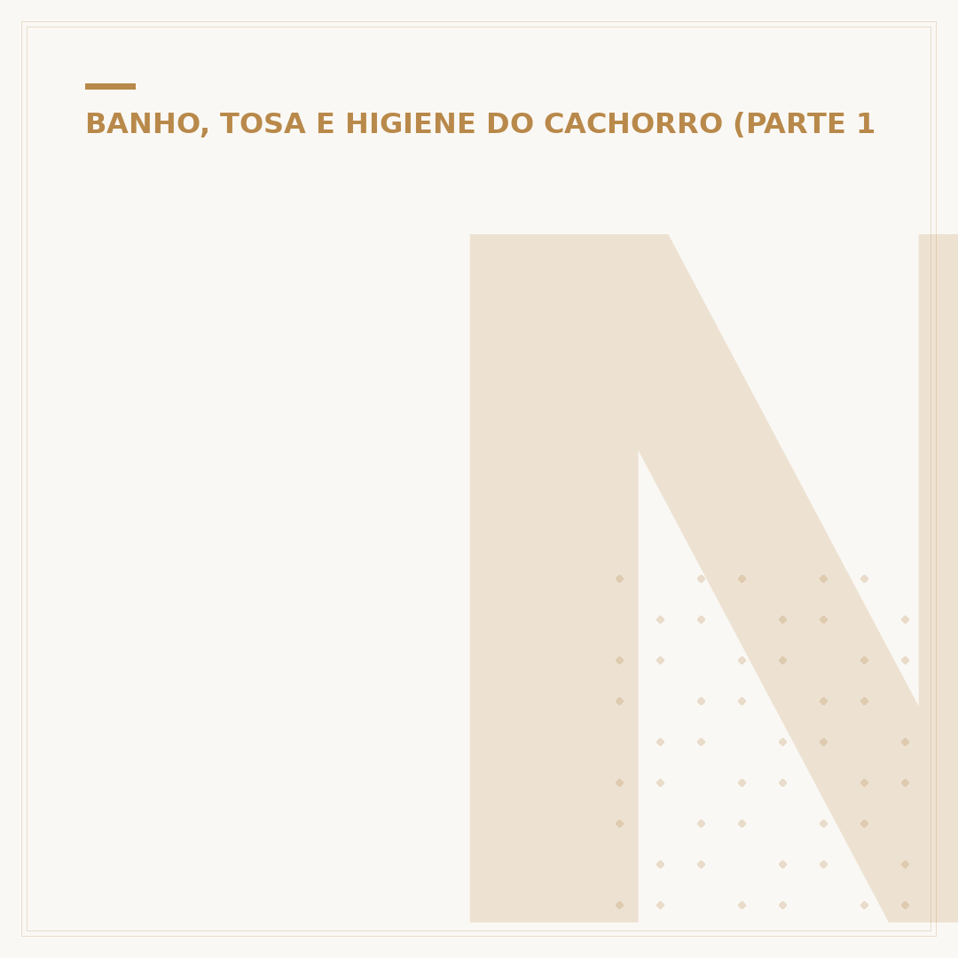 Não tenho shampoo para cachorro: o que usar?