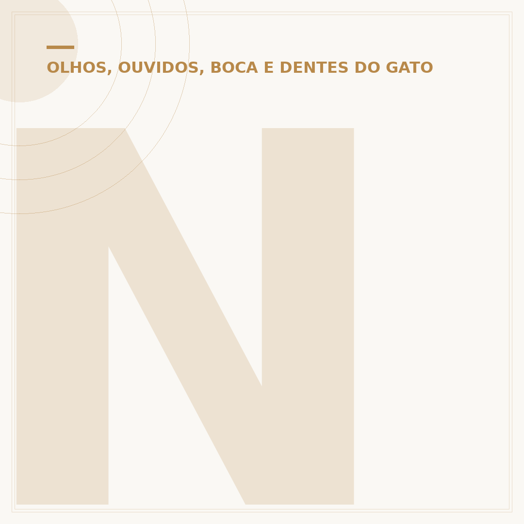 Nariz de gato quente: o que significa?