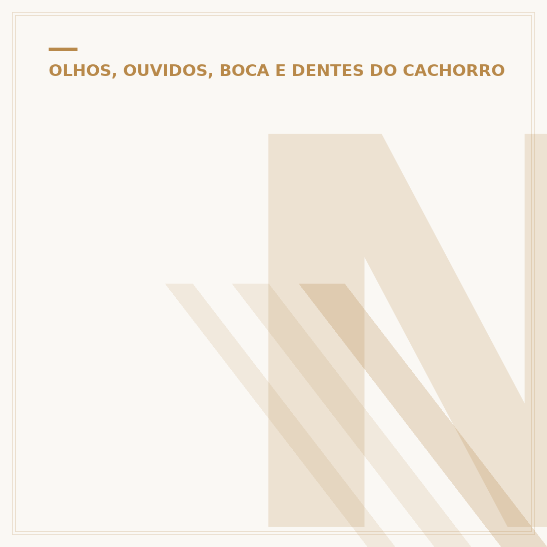 Nariz quente em cachorro: causas e quando se preocupar