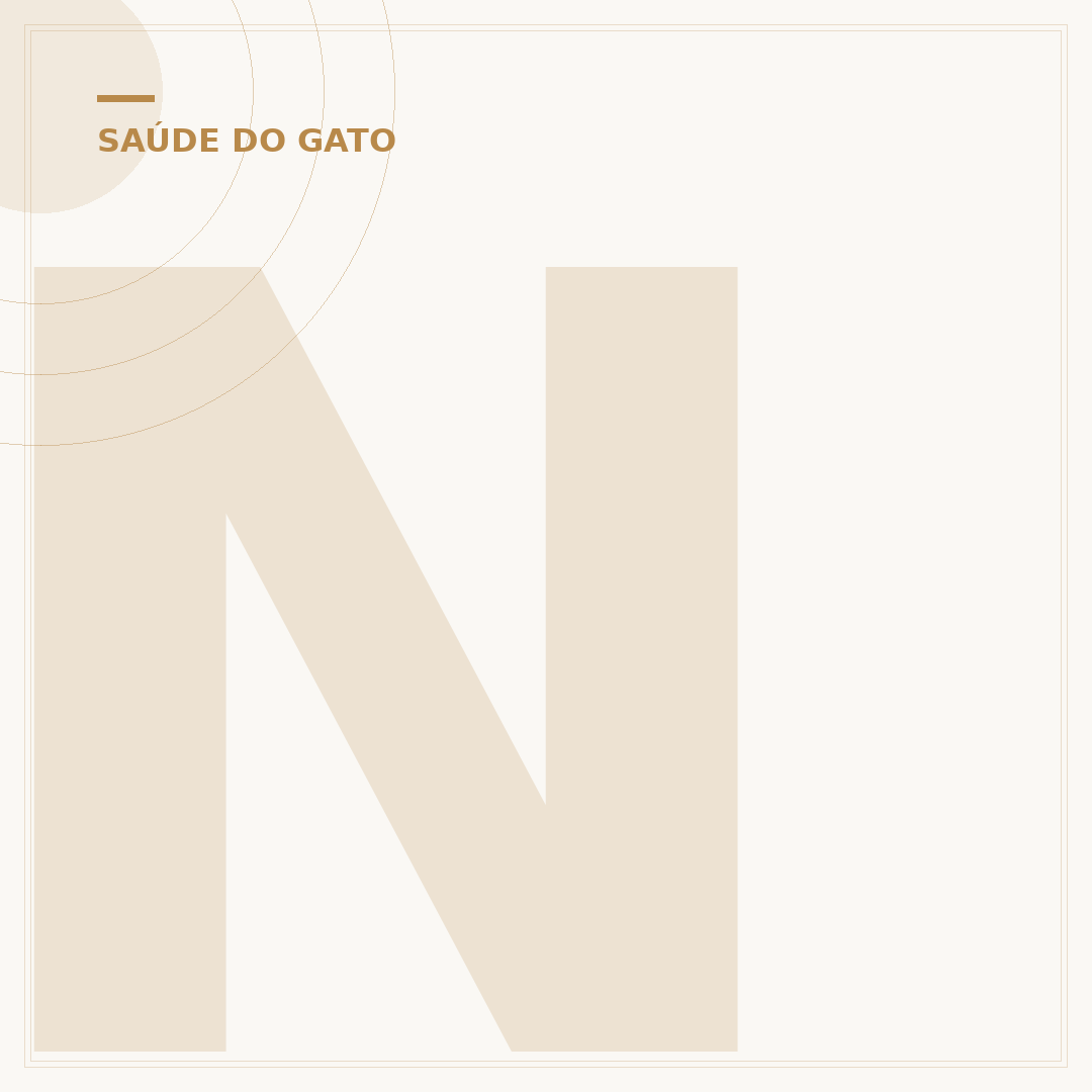 Neoplasia em gatos: causas, sinais e como lidar