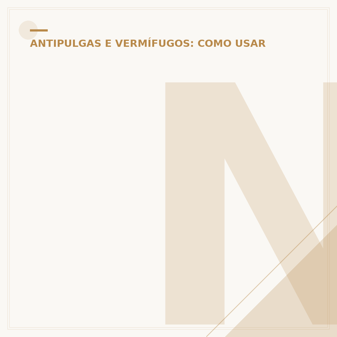 NexGard é bom? Conheça o antipulgas e carrapatos