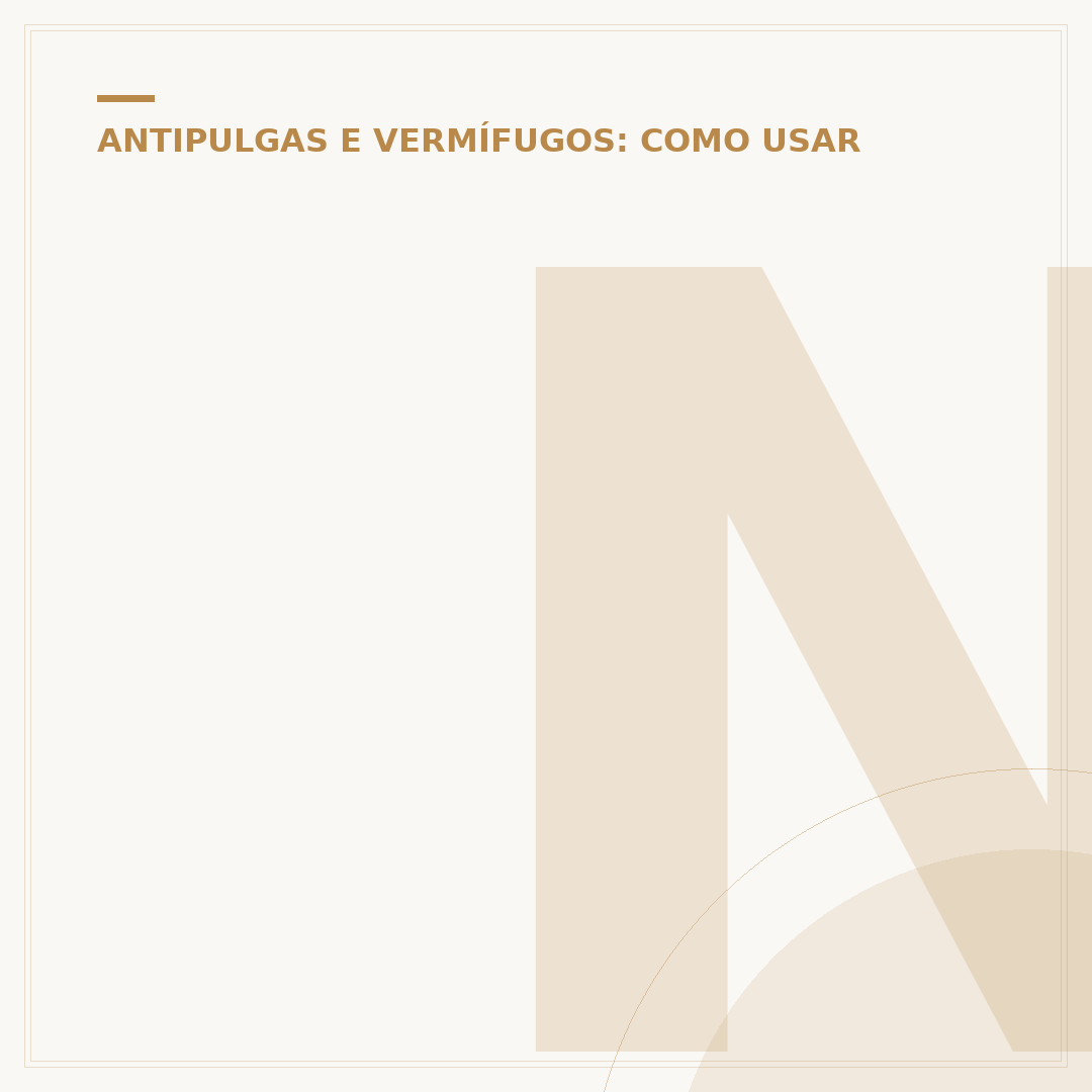 NexGard Spectra: De quanto em quanto tempo usar?