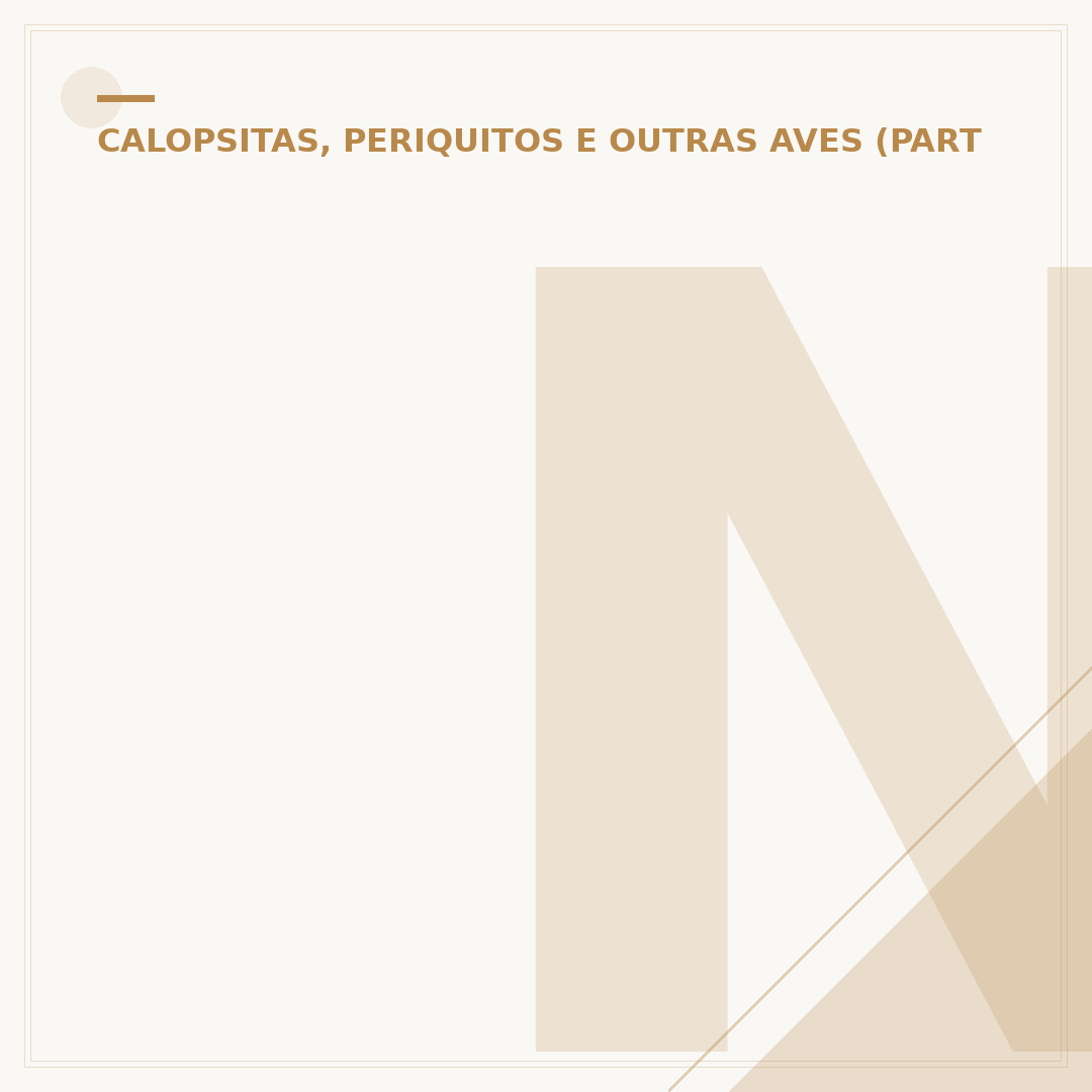 Ninho para calopsita