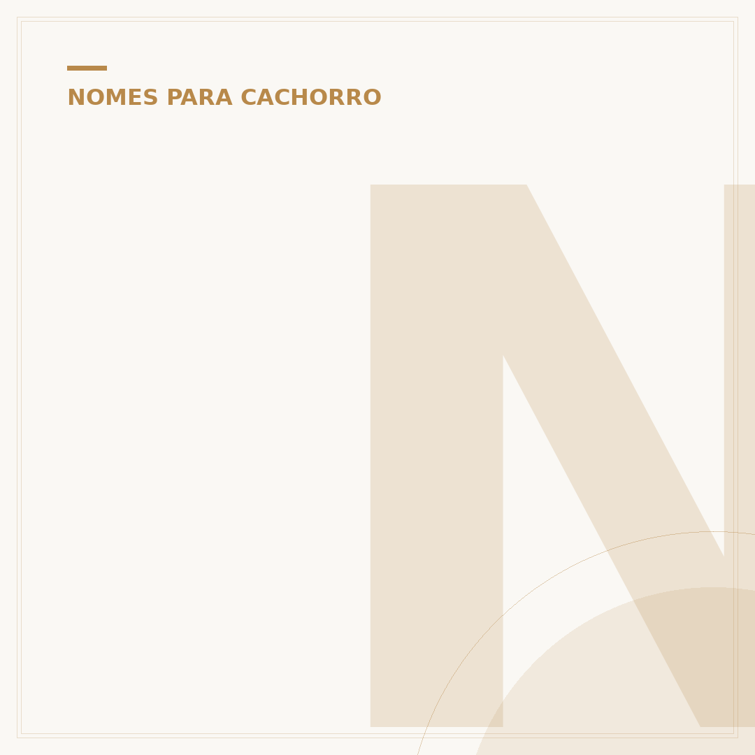 Nome de cachorro fêmea pequena: ideias charmosas