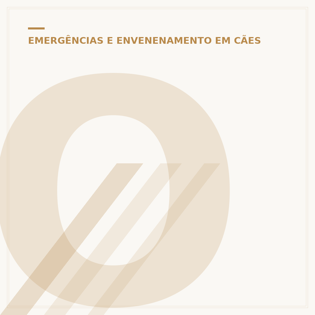 O caso do cachorro que foi morto: o que saber