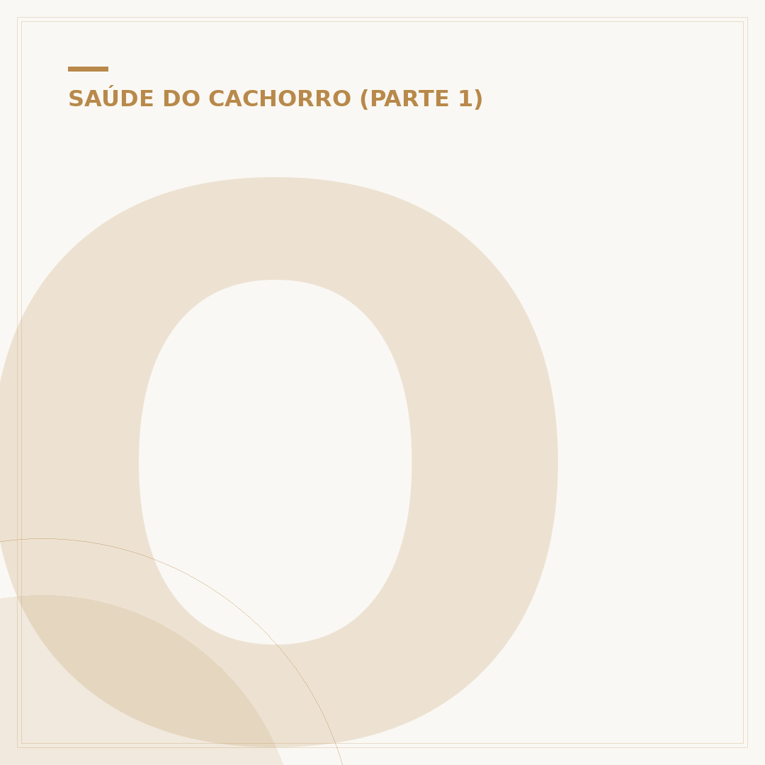 O que é bom para anemia de cachorro?