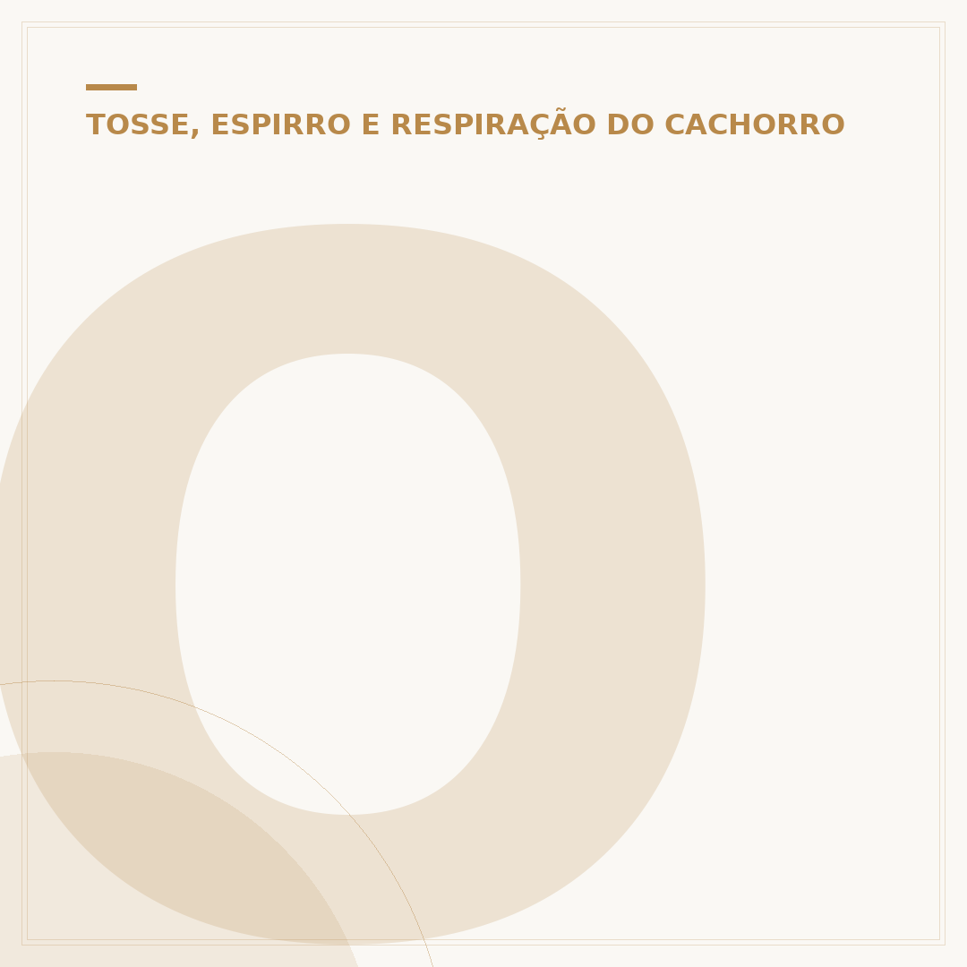 O que é bom para gripe de cachorro: sintomas e cuidados