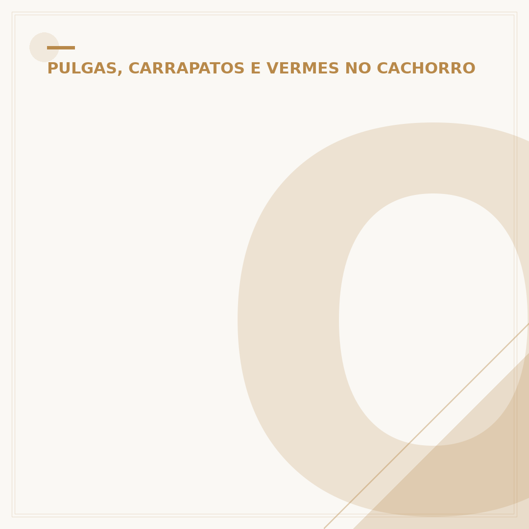 O que é bom para matar carrapato de cachorro?