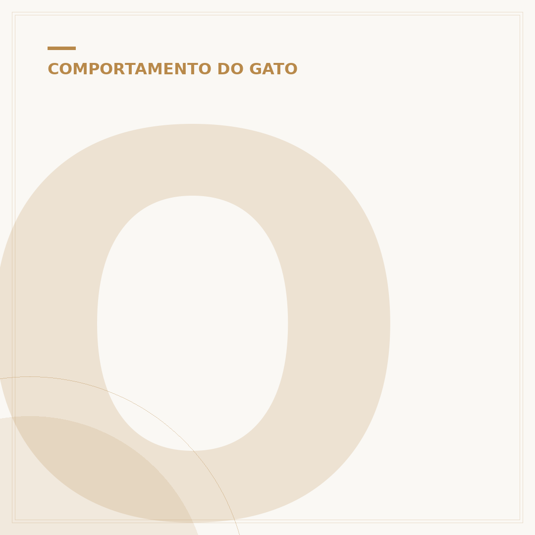 O que os gatos gostam de comer?
