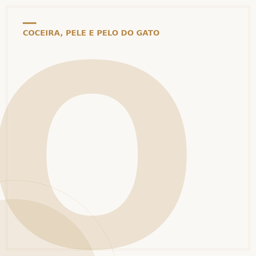 O que passar em ferida de gato